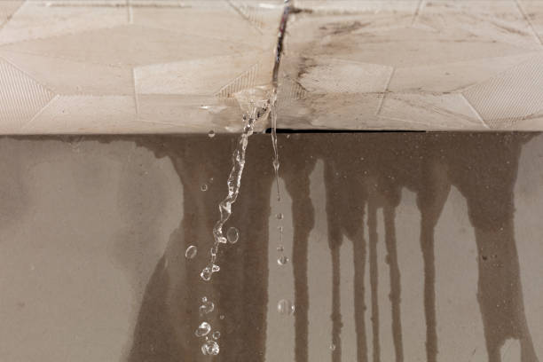 Professional Flood Damage Cleanup technician working in Newhebron, MS